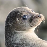 Илья Лазученков