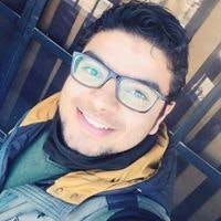 Ahmed Elsman Ibrahim