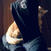 Jassmin Waked Walweel