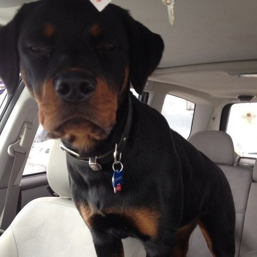 Marissa BeazleyBroad