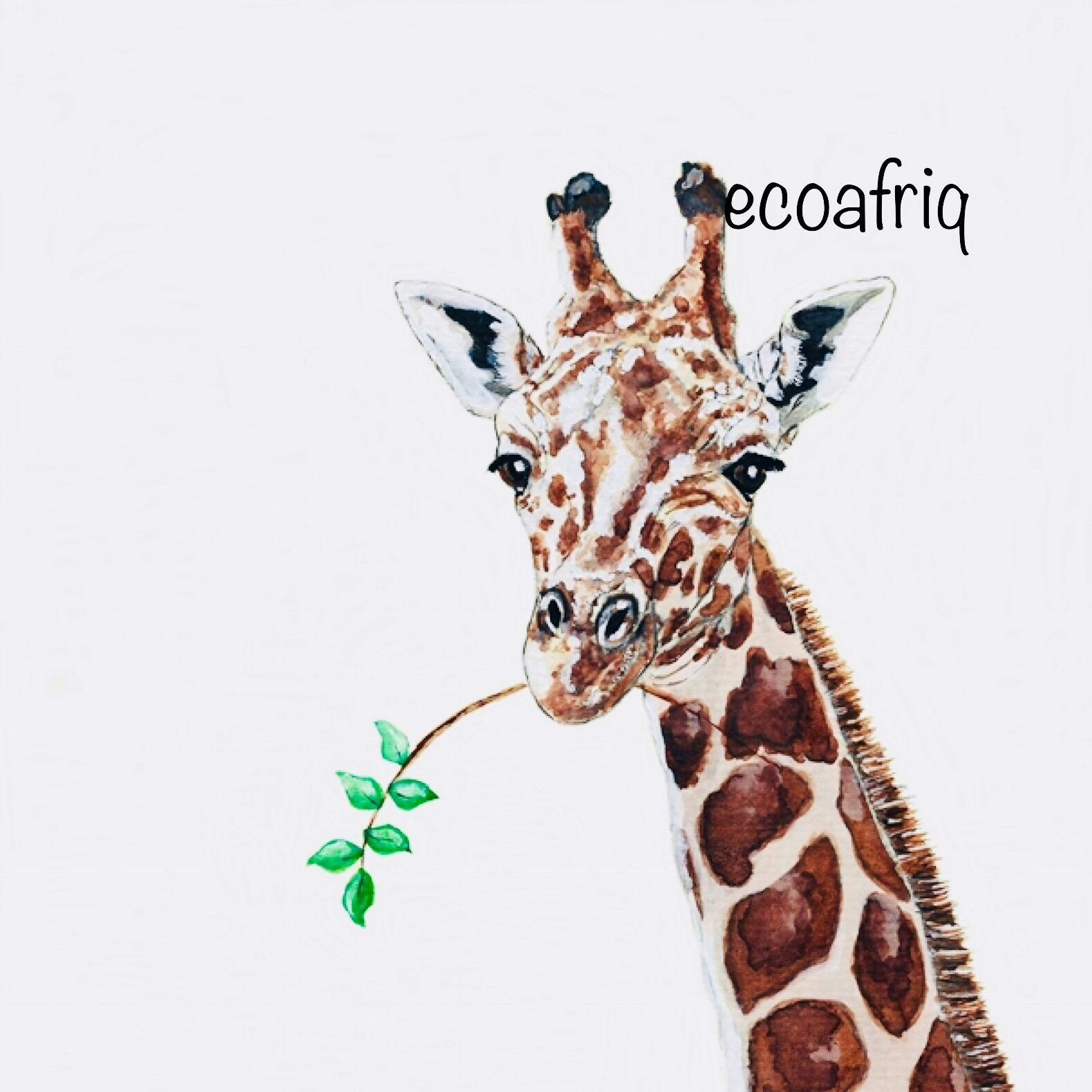 ecoafriq eshop for slow fashion.