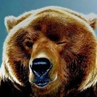 Марина Альбертовна Сергееева