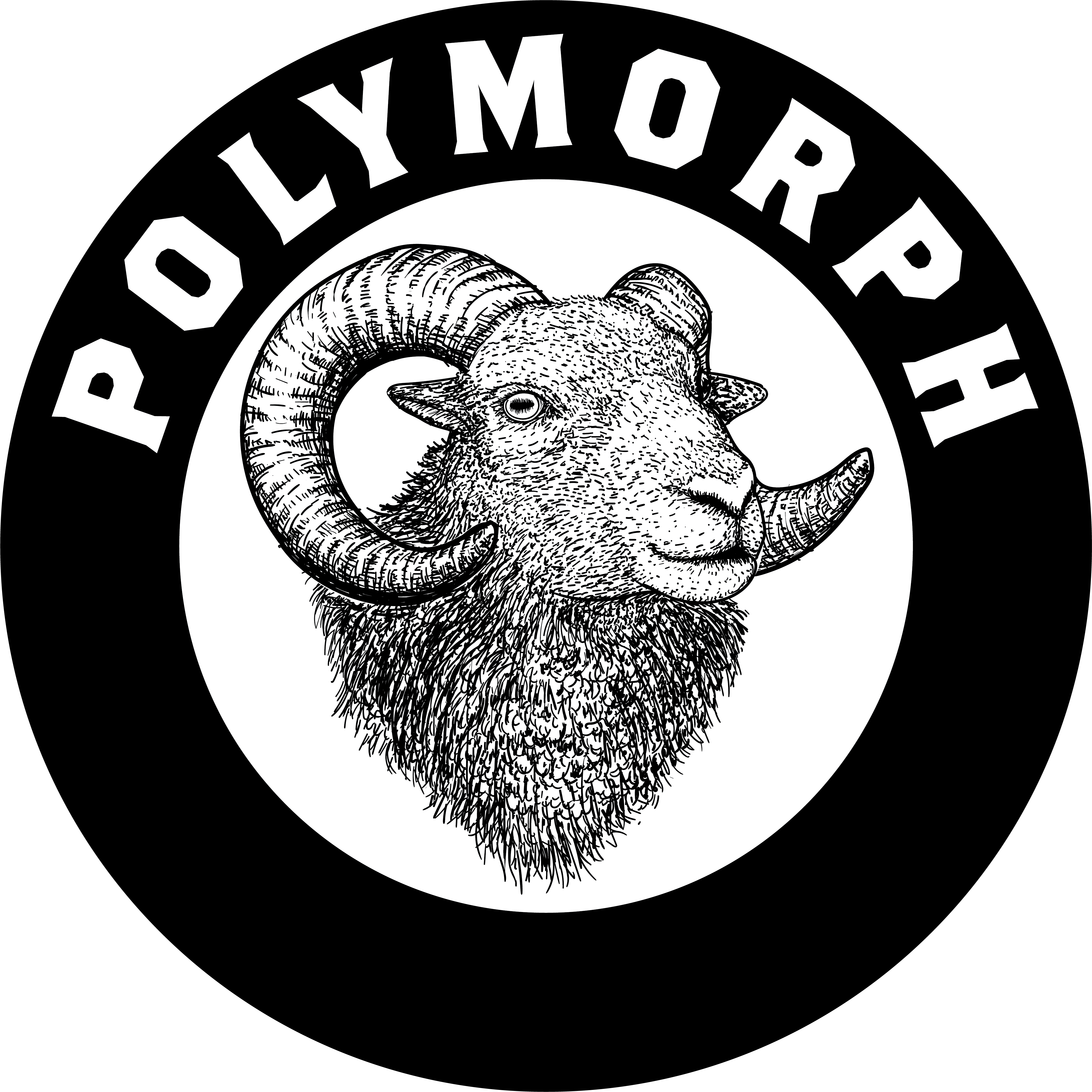 Polymorph
