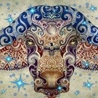 Aristotelis Papatheodorakis