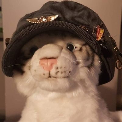 🎨⋆ℌ𝔲𝔫𝔫𝔦 𝔇𝔦𝔳𝔦𝔫𝔢⋆🐅