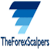The Forex Scalpers