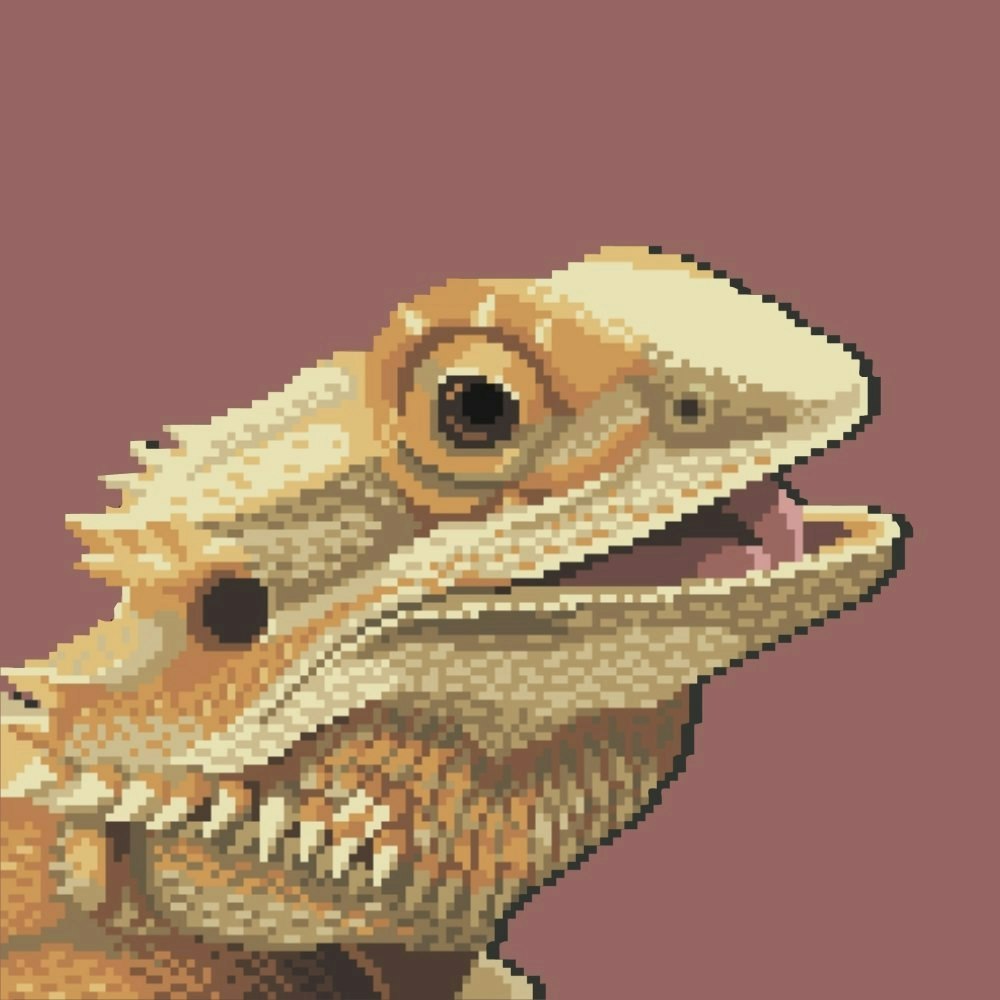 ok, lets do this 💫