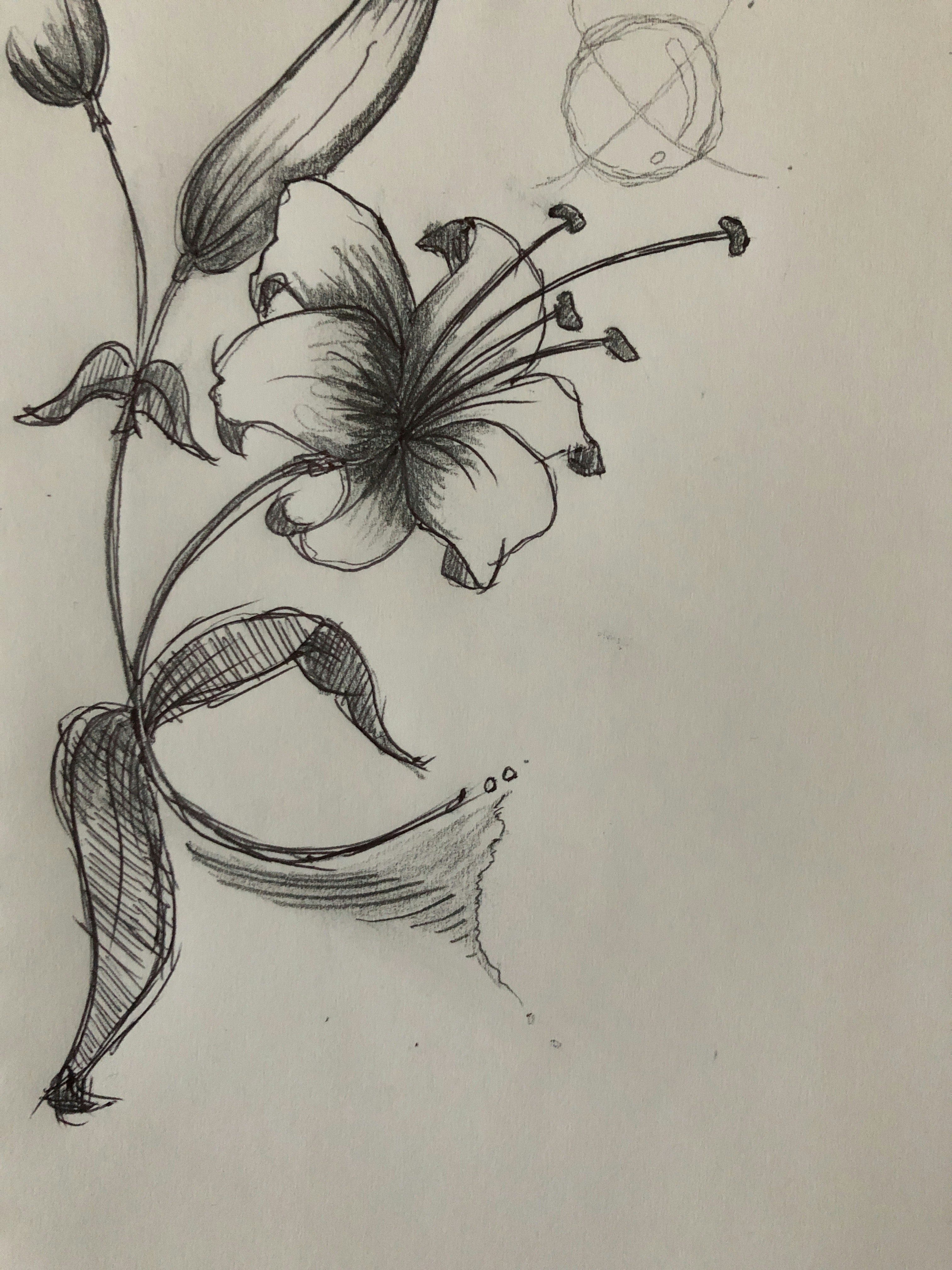 NIK FAHMI BIN NIK FAUZI