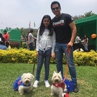 Miguel Angel Vilcapoma Salas