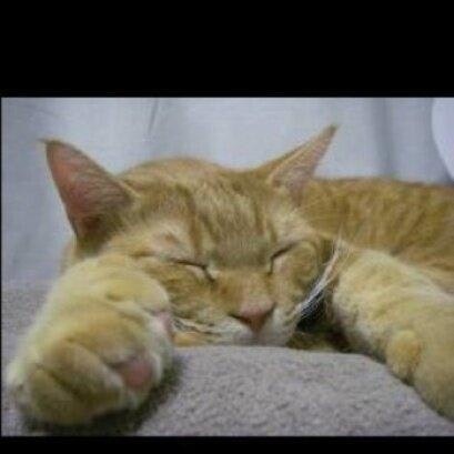 ひわたし整体院