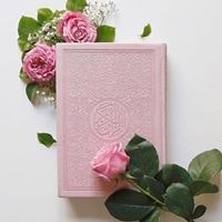 Fatihatul Insyirah NH