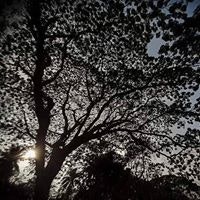 শাকিব আহমেদ হৃদয়