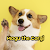 mogu the corgi