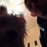 Νικος Κορμαλης