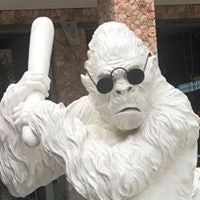 Вячеслав Николаевич