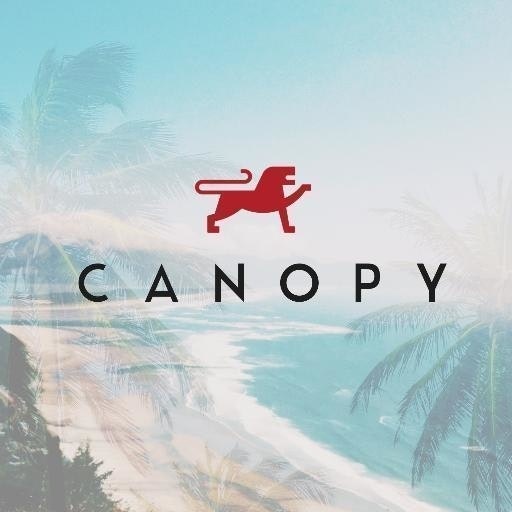 Canopy Sunglasses