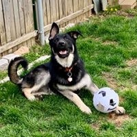 Lynn Stanley Lagasse