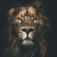 Петр Полевиков