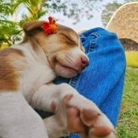 Rafsanul Haque Ratul