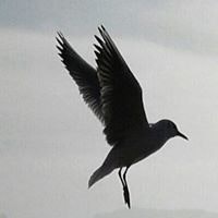 Marie-Madeleine Boursaly