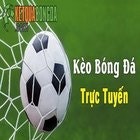 xem ty le keo bong da hom nay
