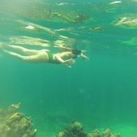 Loreto Martínez-Almeida Castañeda