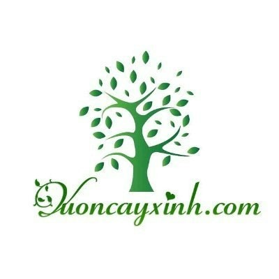 Vườn Cây Xinh