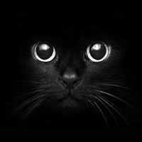 Лёха Бумбурум