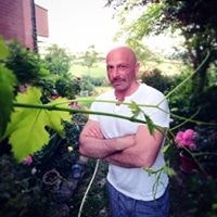 Vinci Falconi Diakov