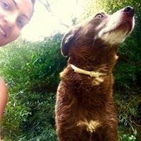 Charlie Brown Paraggio