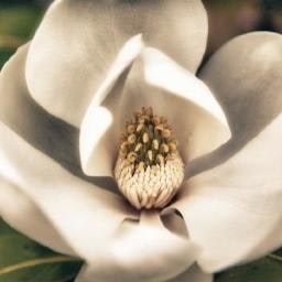 love light happiness