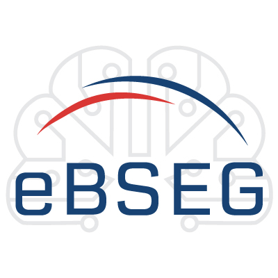 eBSEG global