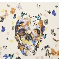 Антон Егоров