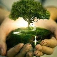 luis alfredo acosta urgelles