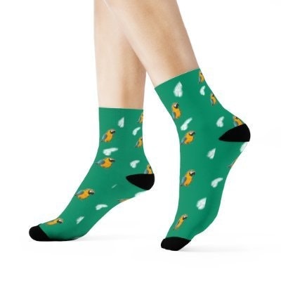 funnypetsocks