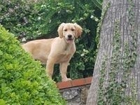 CloudCal & CloudTasks