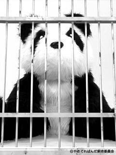 ちばめぐみ/ちゃんめー