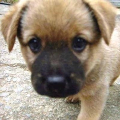 いずみしゅうと