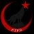 Türk Kurtu