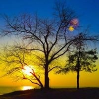 Денис Вітовський