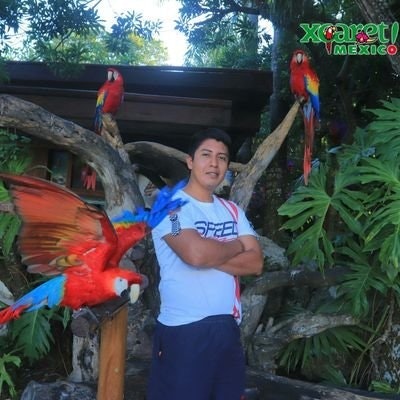 Raúl Otañez Montiel