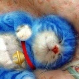 ちろサブლ(╹◡╹ლ)ゆーや