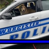 Susan Hymanson Sullivan