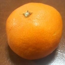 大阪みかん