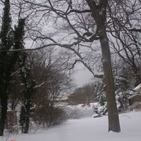 Zainab Dawoodi Dhoon