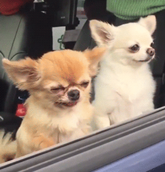 ProductHunt profile picture for @spatula