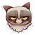 ProductHunt profile picture for @flop
