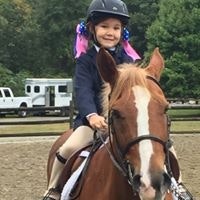 Alison Krieger Gilfedder