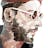 Alexander_nobody