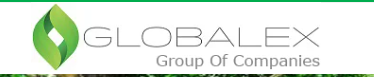 Globalex uae
